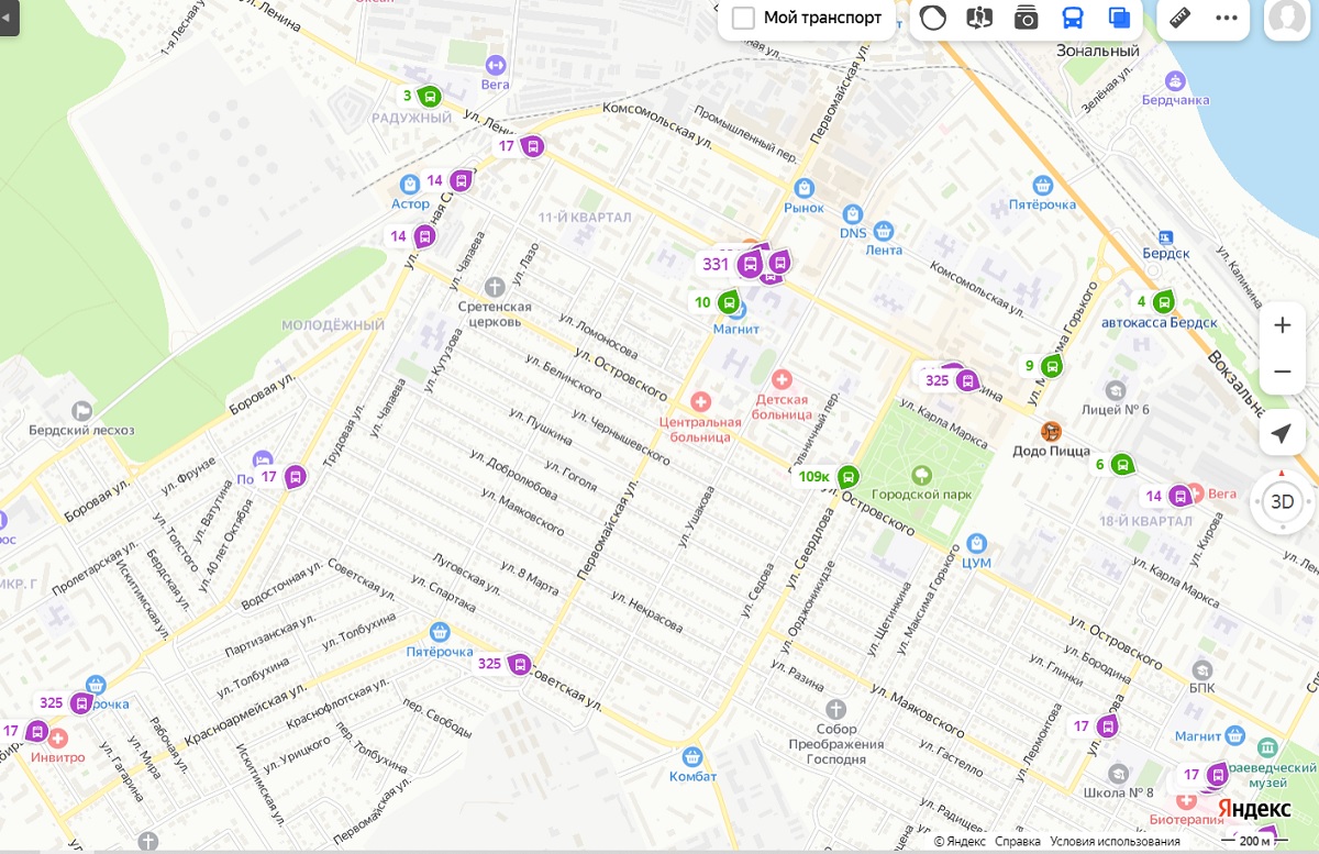 Подключить маршрутки к системам 2ГИС и Яндекс-транспорт настроен глава  Бердска