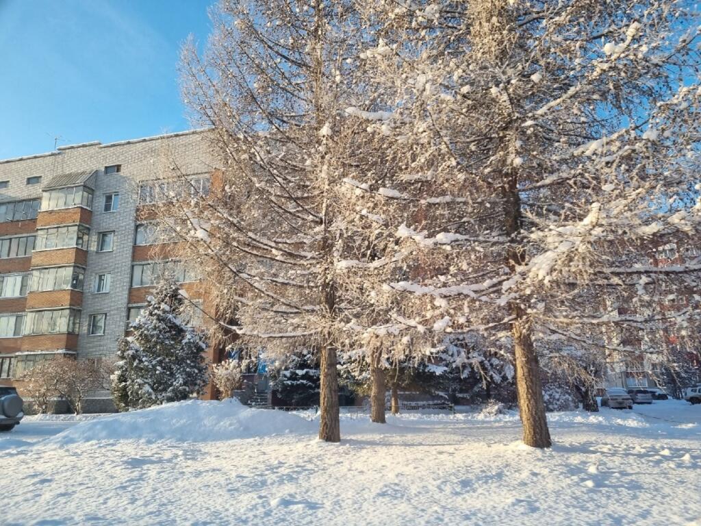 Общество - Бердск-Онлайн