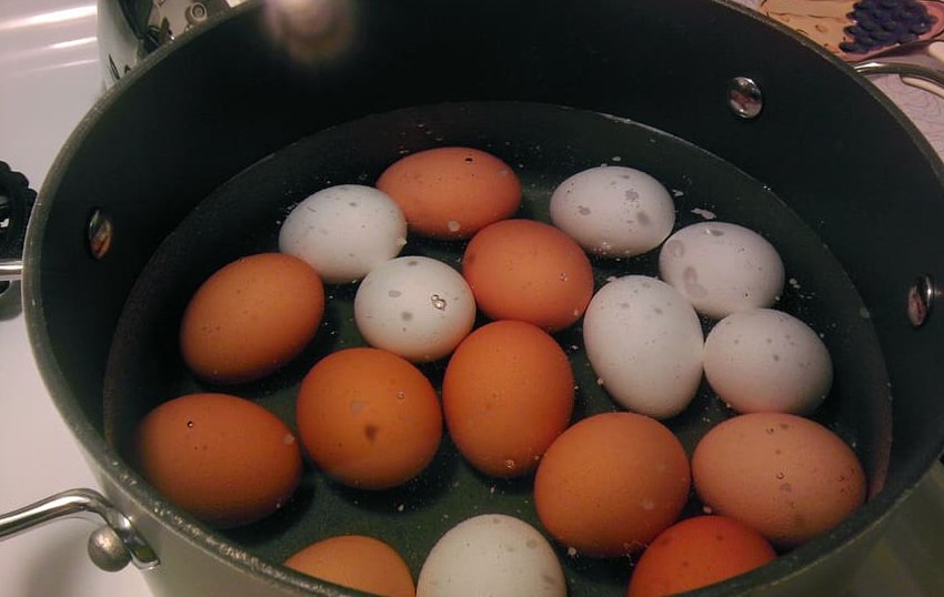 Ответы уральские-газоны.рф: Если яйца при варке всплывают-значит они не свежие?