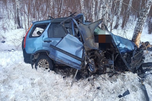 Водитель Honda CR-V наехал на дерево в кювете и погиб под Новосибирском