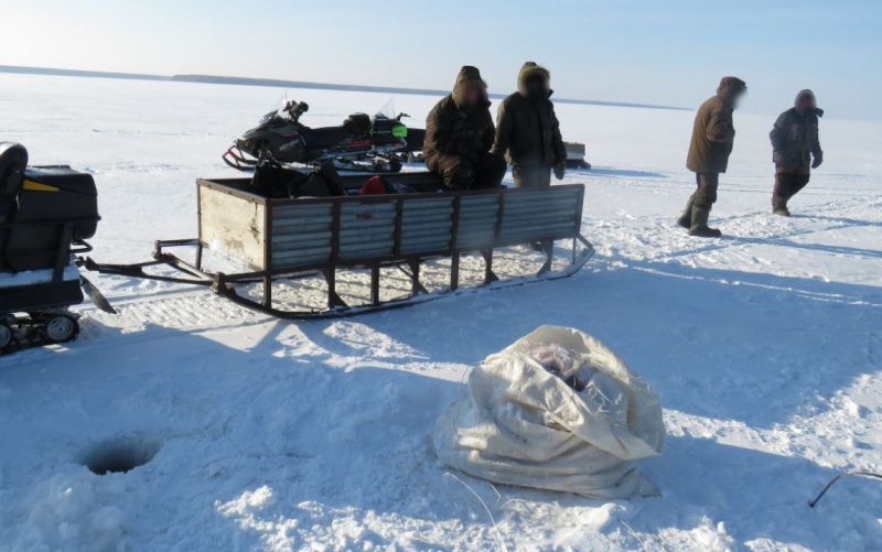 Более 12 км сетей и рыбный улов изъяли у сибиряков под Бердском