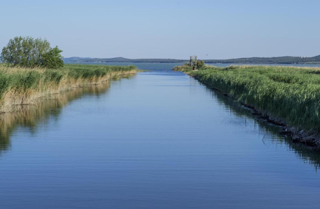 Власти Новосибирской области планируют очистить притоки Оби