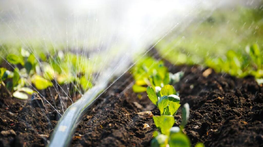 Как сделать капельный полив своими руками для огорода?