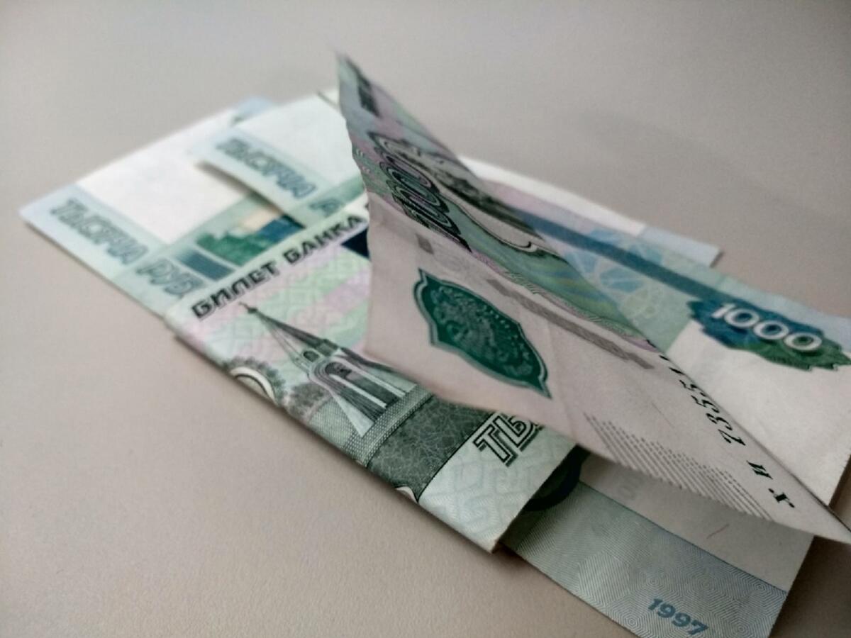 Должник из Бердска заплатил 1,4 млн рублей после ареста земли