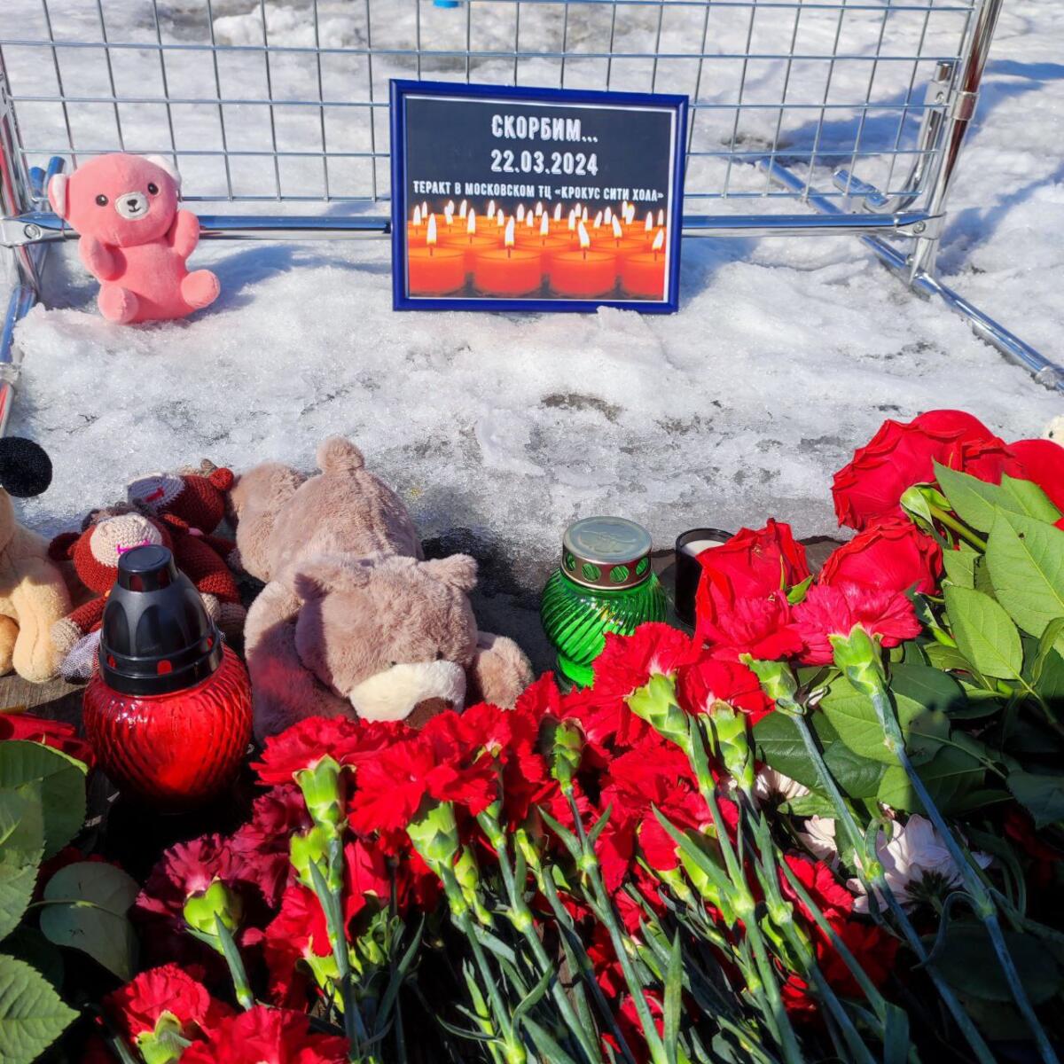 В Бердске создали мемориал по погибшим в теракте в «Крокус Сити Холл»