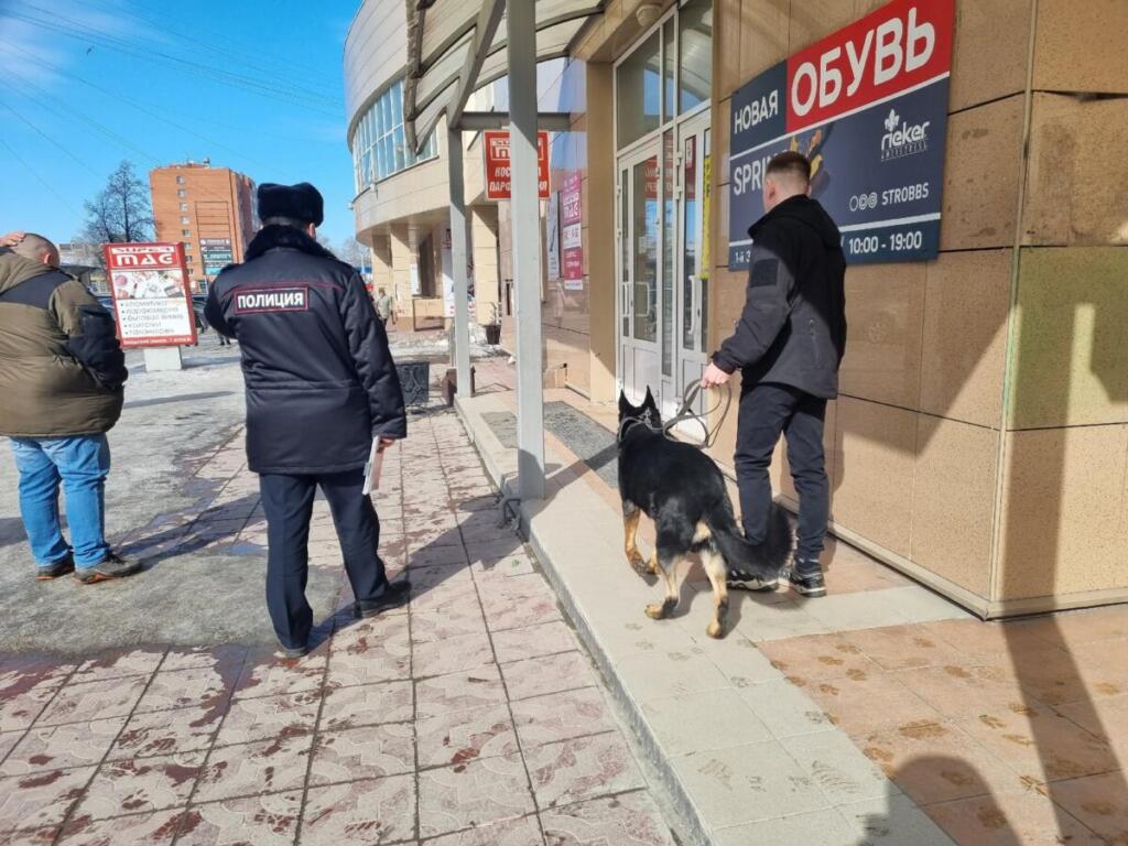 Кинолог и сотрудники МВД проверяют рынок в Бердске