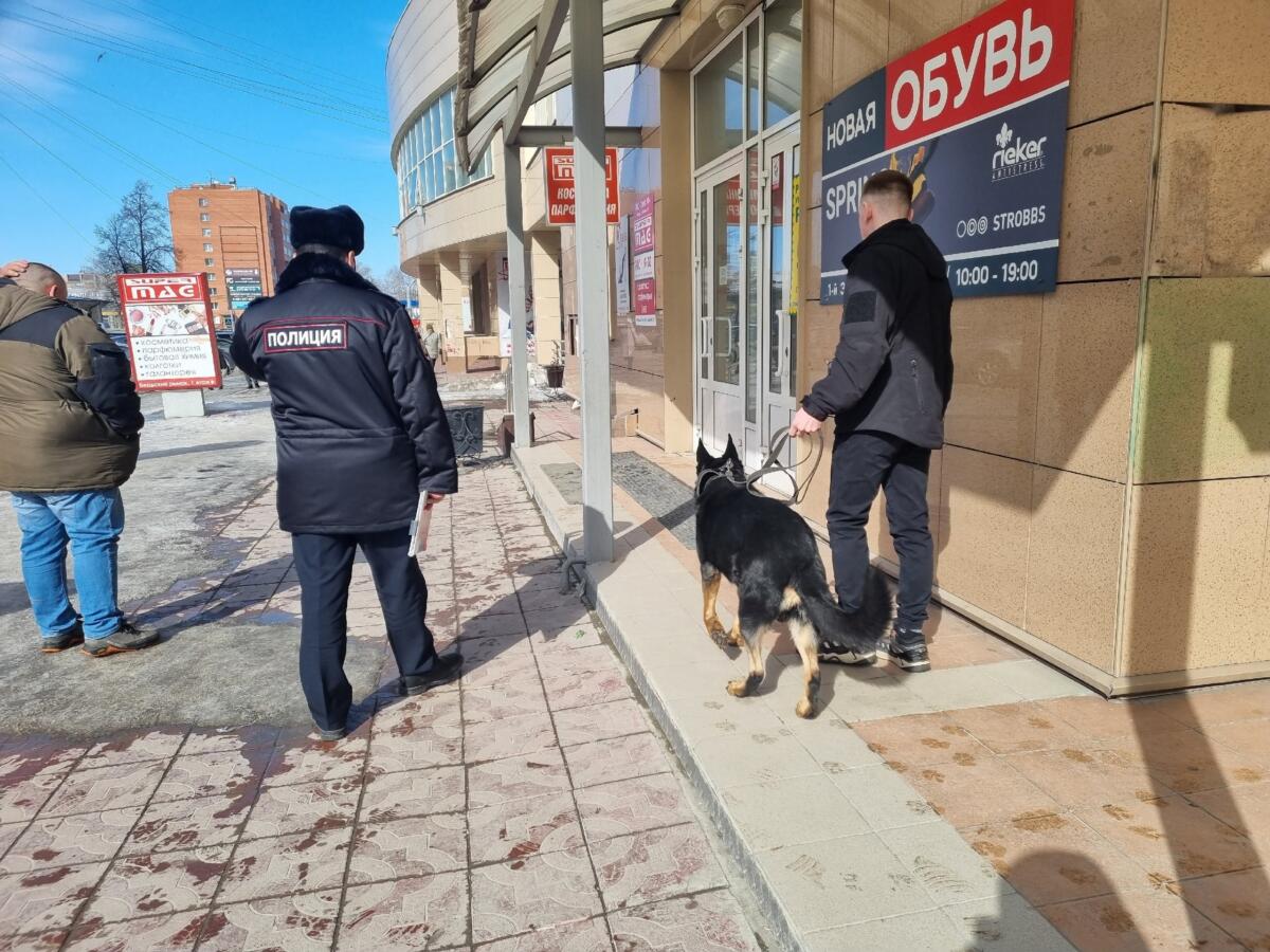 Полиция с кинологом проверили рынок Бердска после теракта в «Крокус сити холле» в Подмосковье