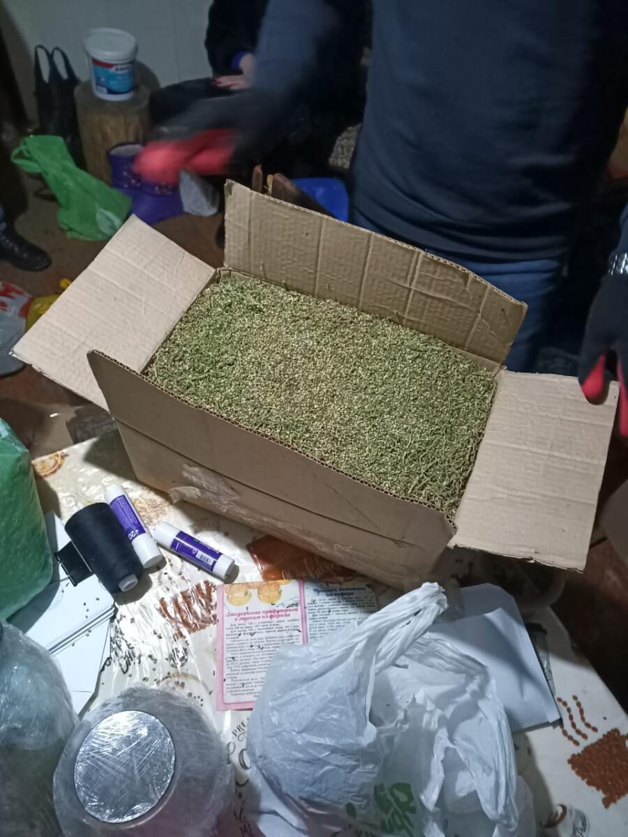 Мешки с наркотиками — ФСБ задержала искитимцев и жителя Бердска