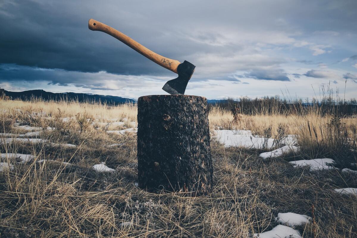 Новосибирские таможенники помешали «дровосекам» нелегально вывезти лесоматериал