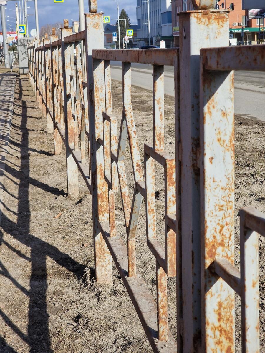 Ржавый забор, ямы, сухие деревья и пыль вместо газона и клумб в Бердске