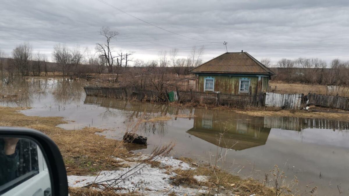 На метр за сутки поднялся уровень воды в реке Бердь – Легостаево в опасной зоне