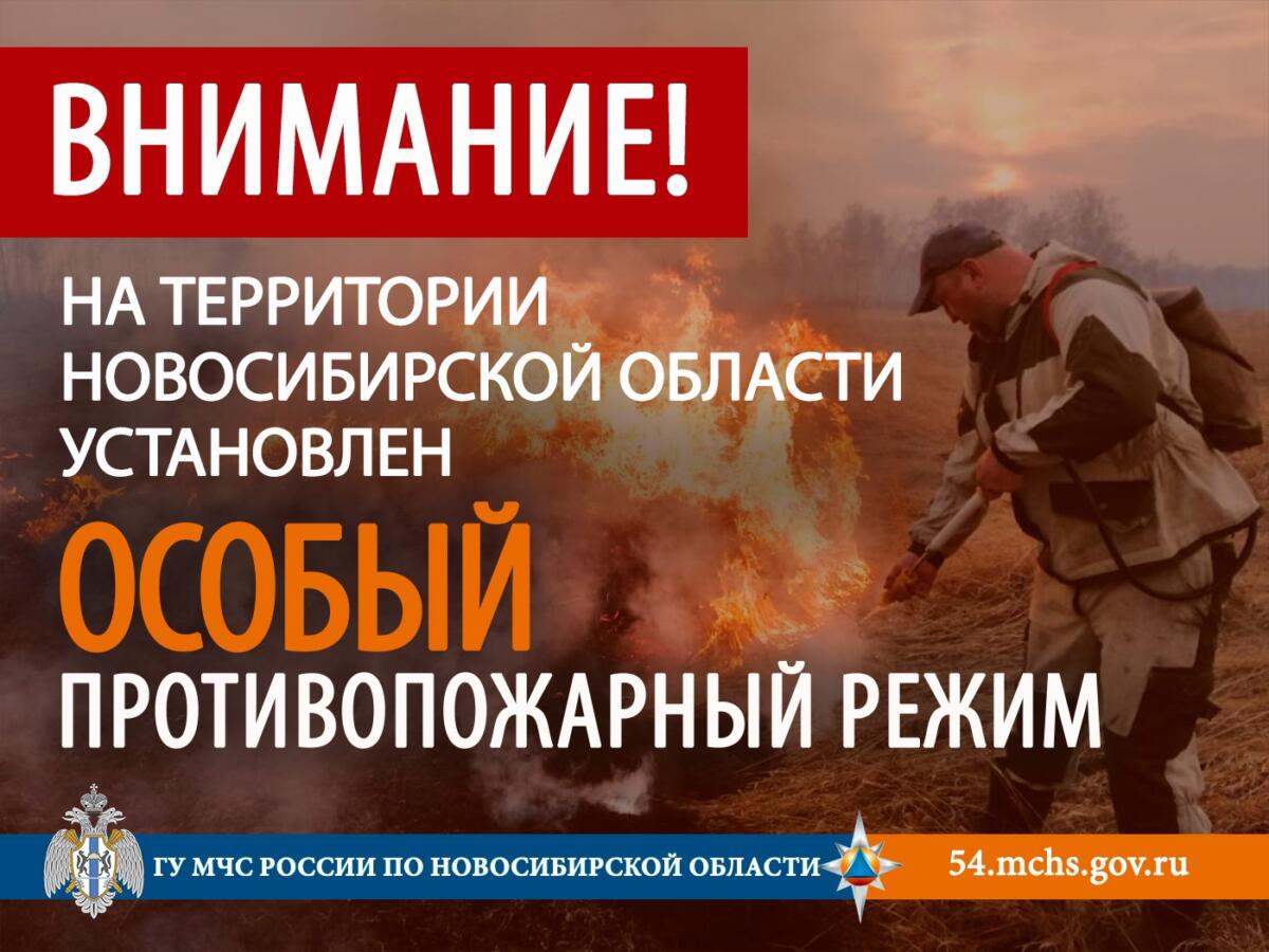 Жечь запрещено! В Новосибирской области до 13 мая установлен особый противопожарный режим