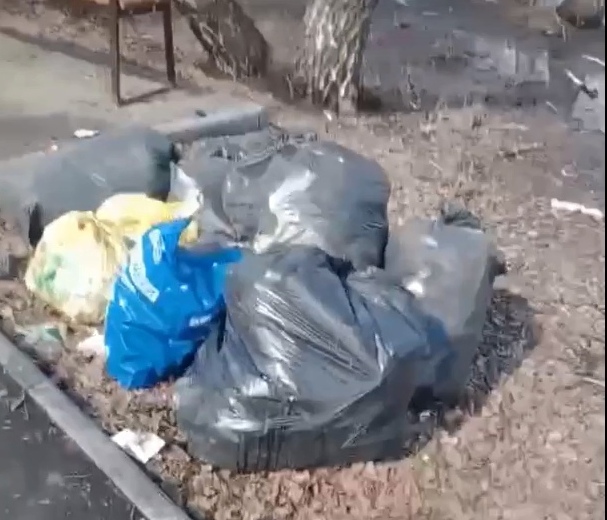 Бердчане убирают мусор в сквере «Школьный» и записали видеообращение — просят вывезти мешки