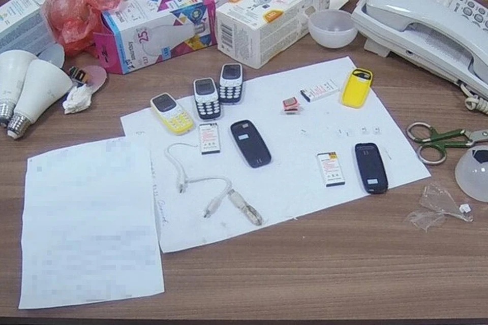 В Новосибирске попытались передать в СИЗО телефоны, спрятанные в лампочки