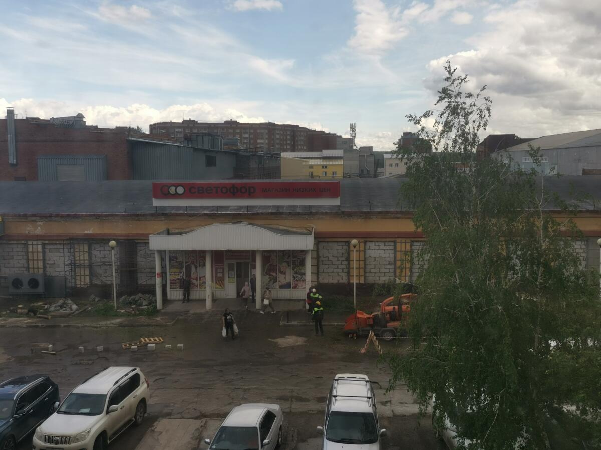 Почему спилили огромные ёлки у «Светофора» в Бердске? Ответил мэр