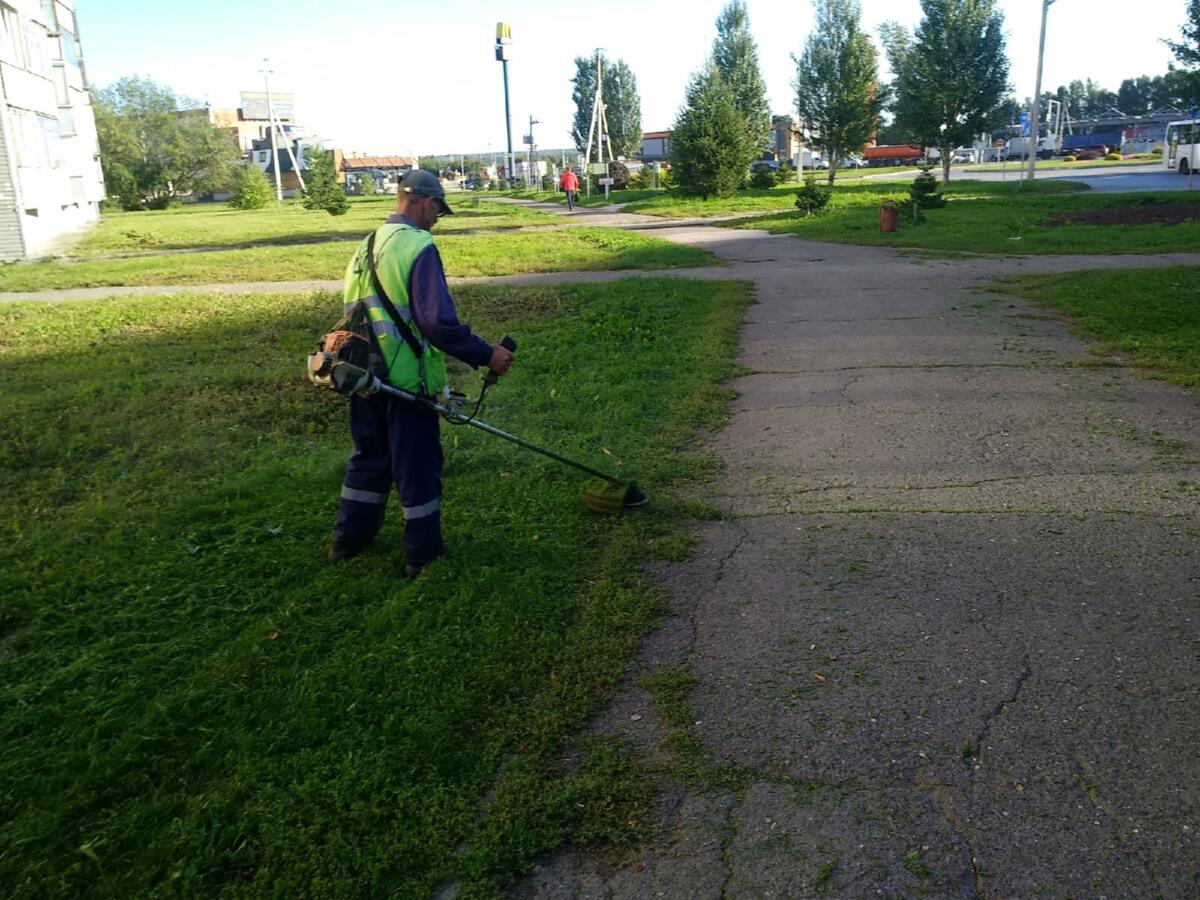 Косить траву в городе и в СНТ потребовали пожарные в Бердске