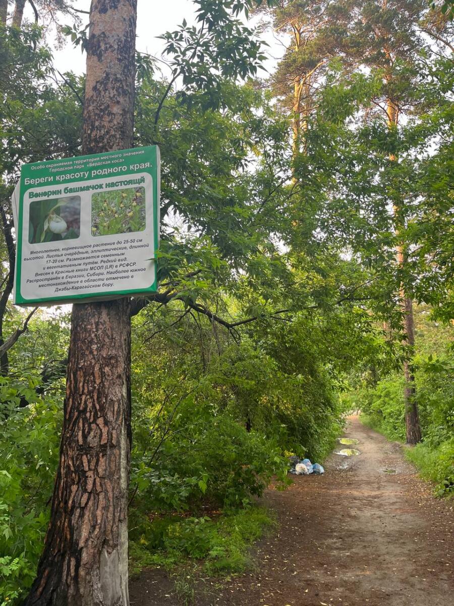 Въезда на Бердскую косу больше не будет! За три дня территорию завалили  мусором