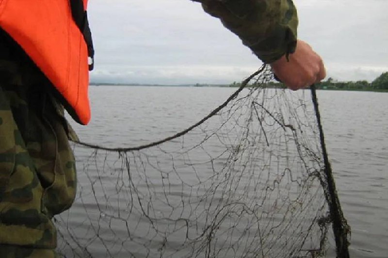 Поймал язя и попал под статью о незаконной рыбной ловле рыбак под Новосибирском