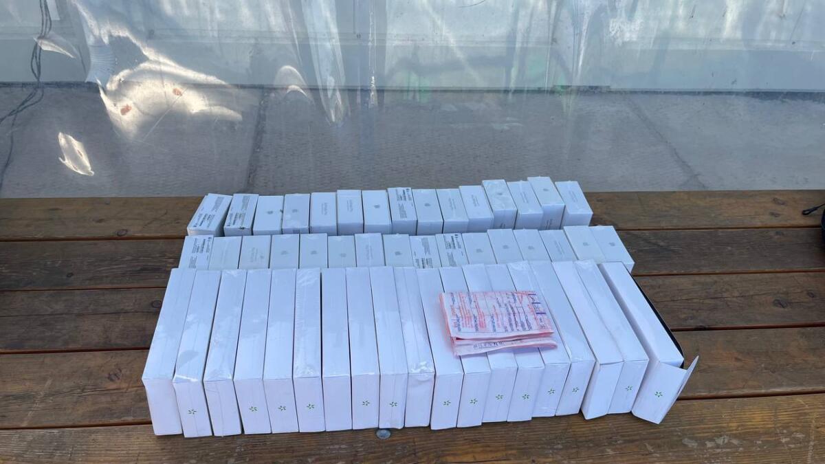 Контрафактные iPhone на 3 млн и парфюм на 2 млн рублей изъяли на границе Новосибирска