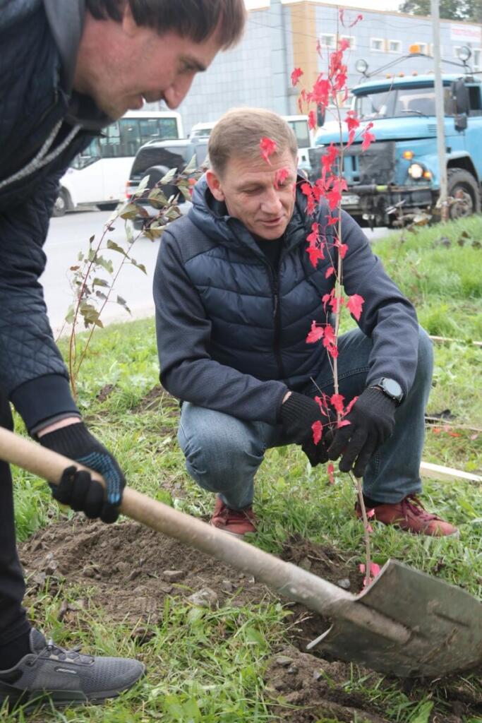 Сергей Онищенко и Роман Бурдин высаживают деревья