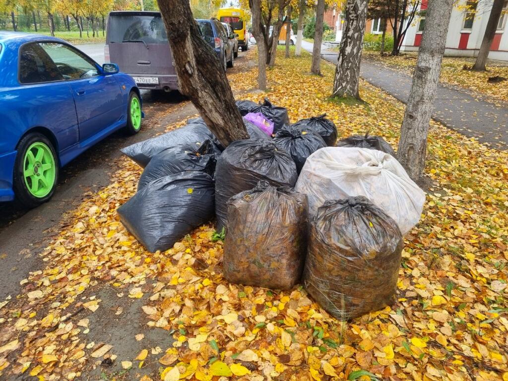 Листва в мешках должна быть убрана