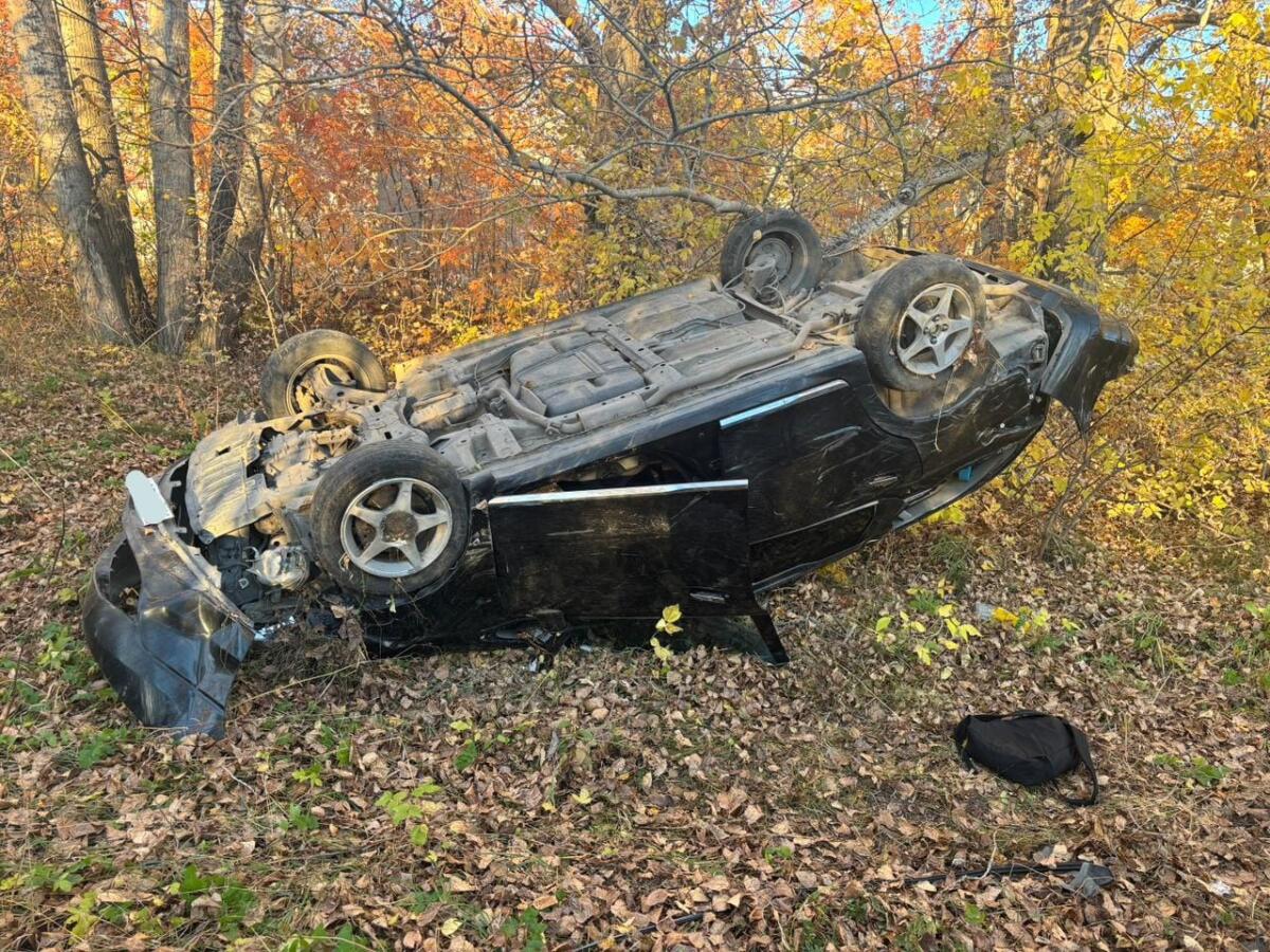 Сбил пешехода и перевернулся в кювете автомобиль в районе ПЧ-11 в Бердске