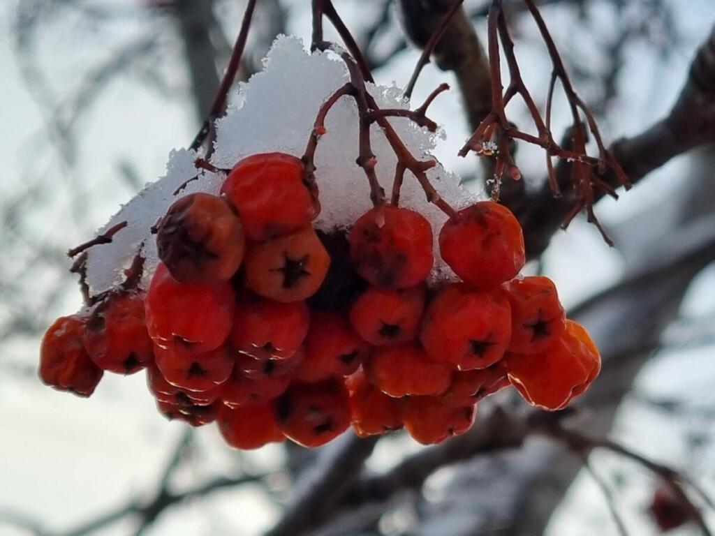 Ожидается снегопад