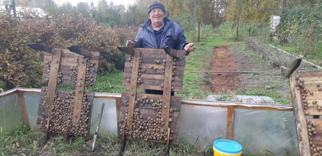 На подворье известного в области агронома настоящая экзотика