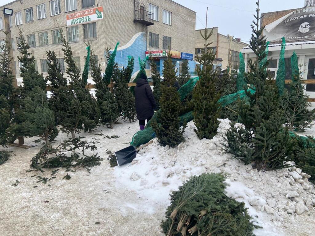 Елочные базары в Бердске