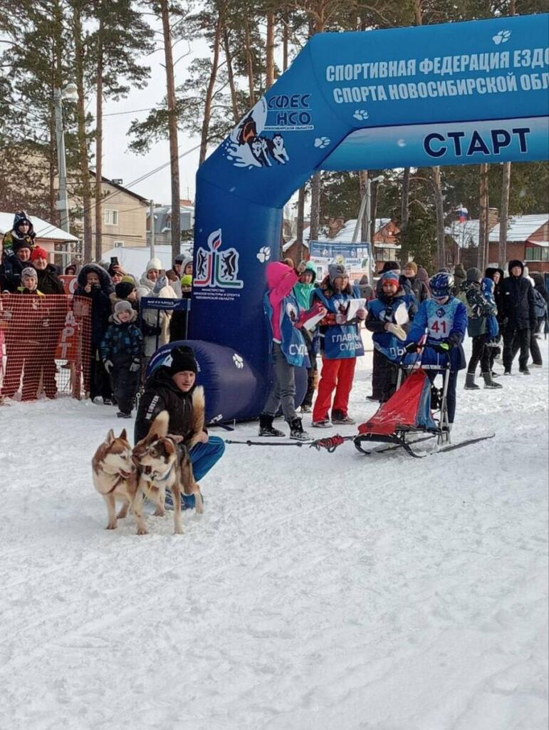 Чемпионат и Первенство Новосибирской области по ездовому спорту 