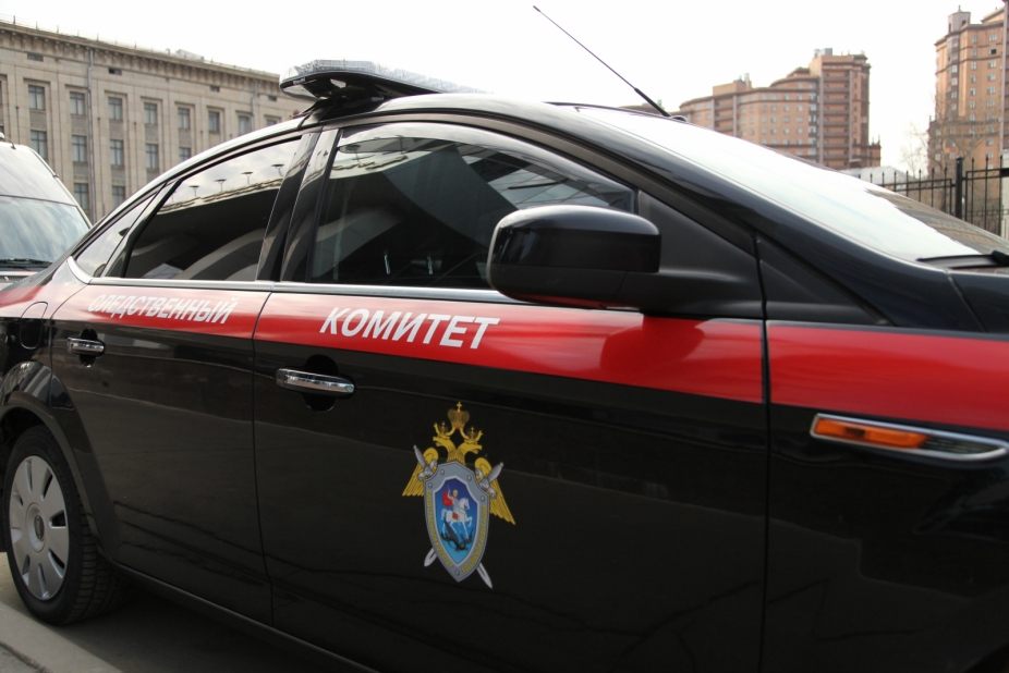 Глава СКР заинтересовался происшествием