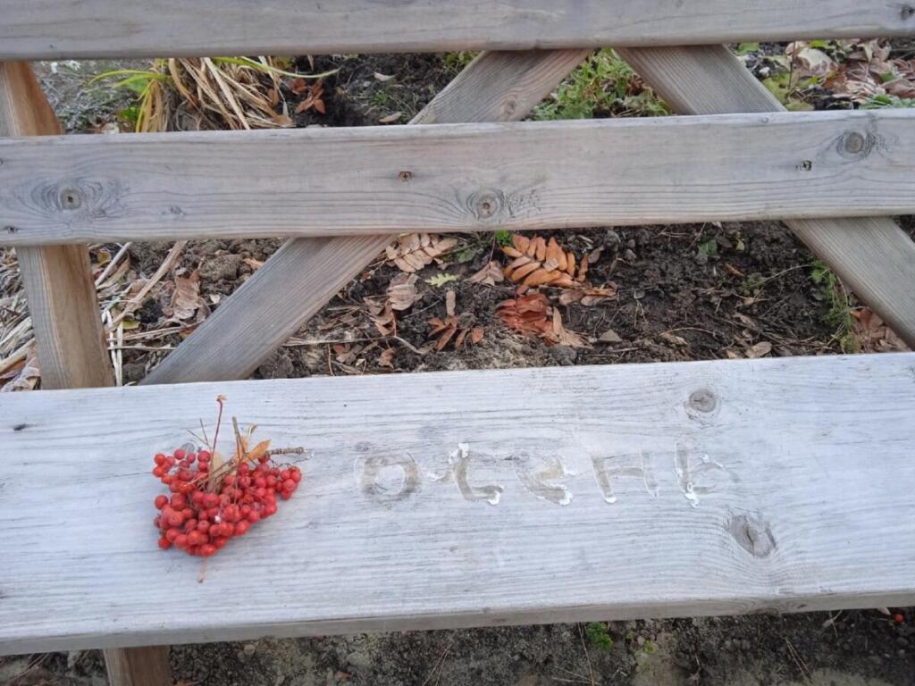 В Бердск неожиданно пришла осень 