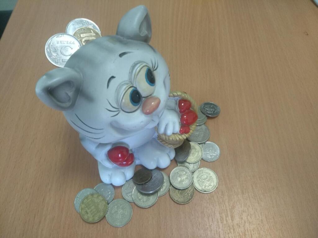Собранные деньги не потратили на указанные цели