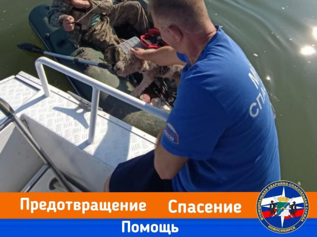 Новосибирца удалось спасти