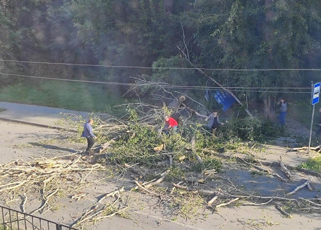 Дерево упало на людей на остановке. Фото подписчик НГС