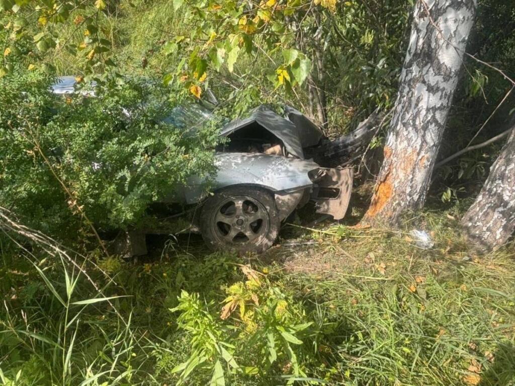 Водитель умер до приезда медиков
