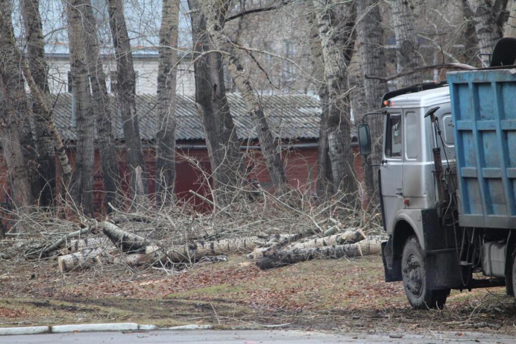 Вырубка аварийных деревьев