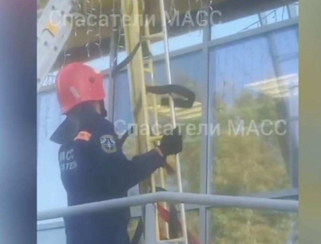 Спасатели МАСС