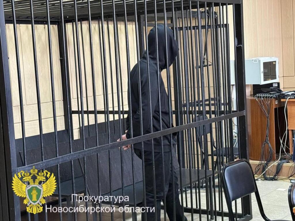 Новосибирец отрицает вину