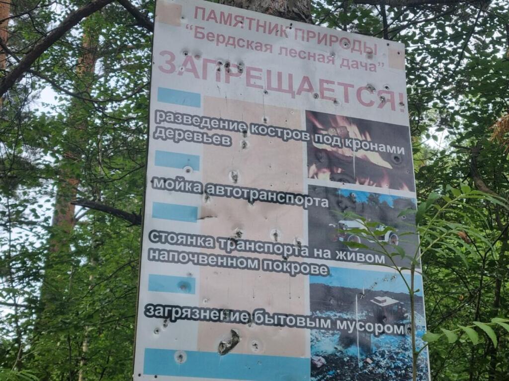 Бердские леса очистят от мусора до 31 декабря 2025 года