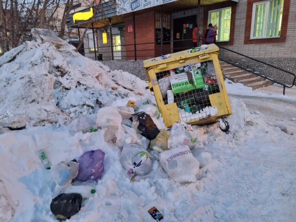Мусор в Бердске 