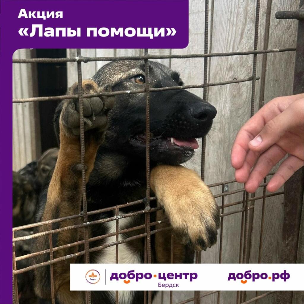 Акция стартовала в Бердске  Акция стартовала в Бердске