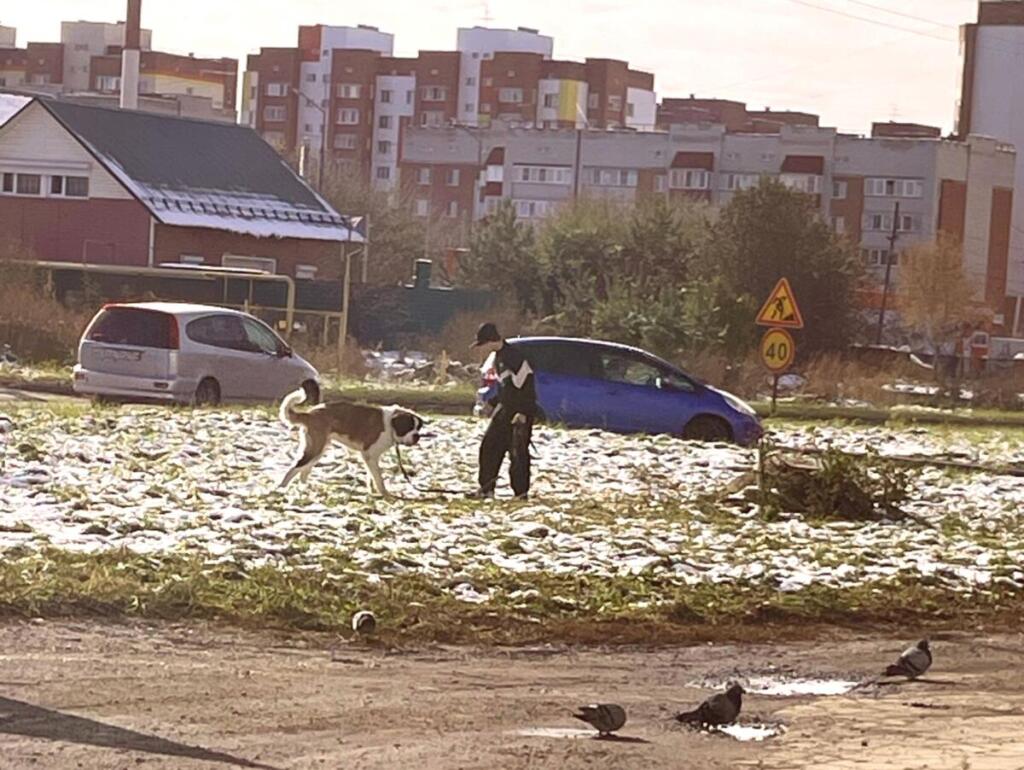 Пес нападает на людей