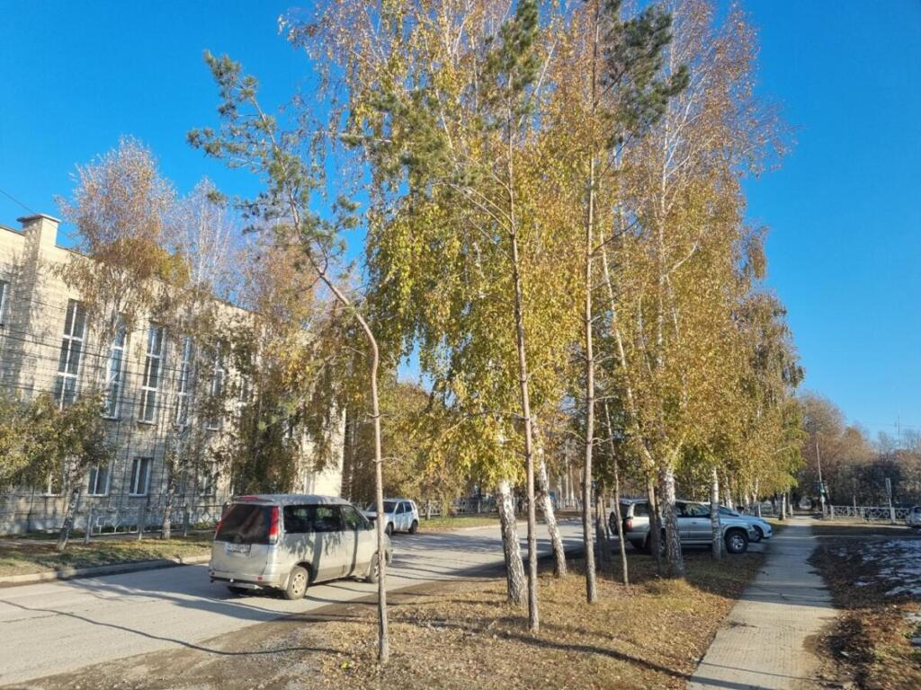 Бердчане встречают очередное «бабье лето»