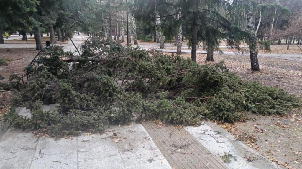 Место происшествия