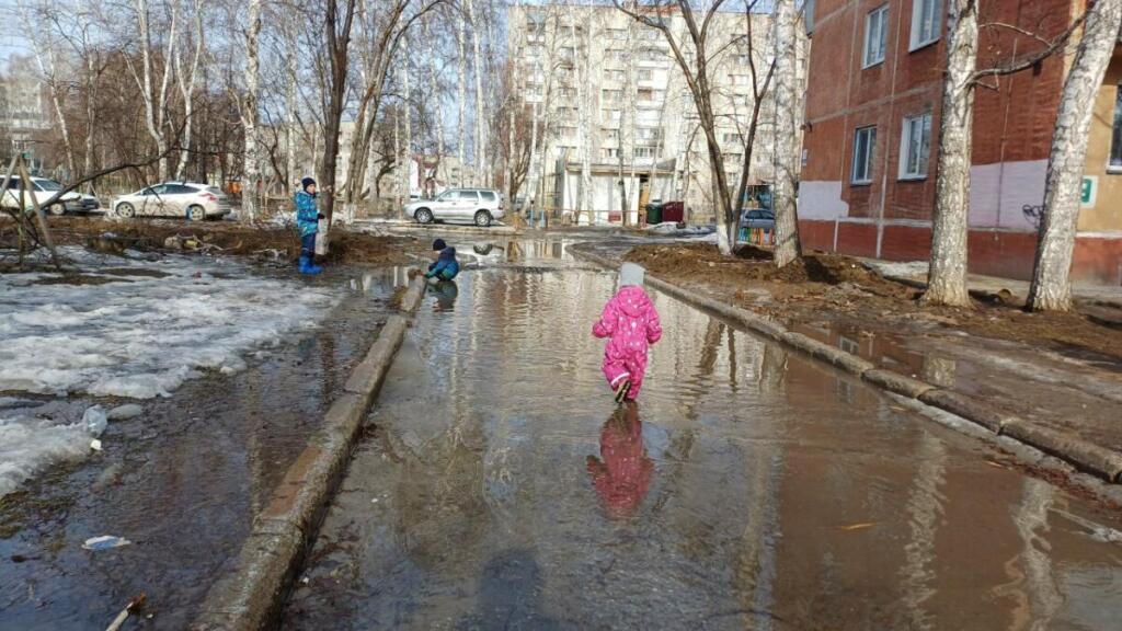 Дети в Бердске