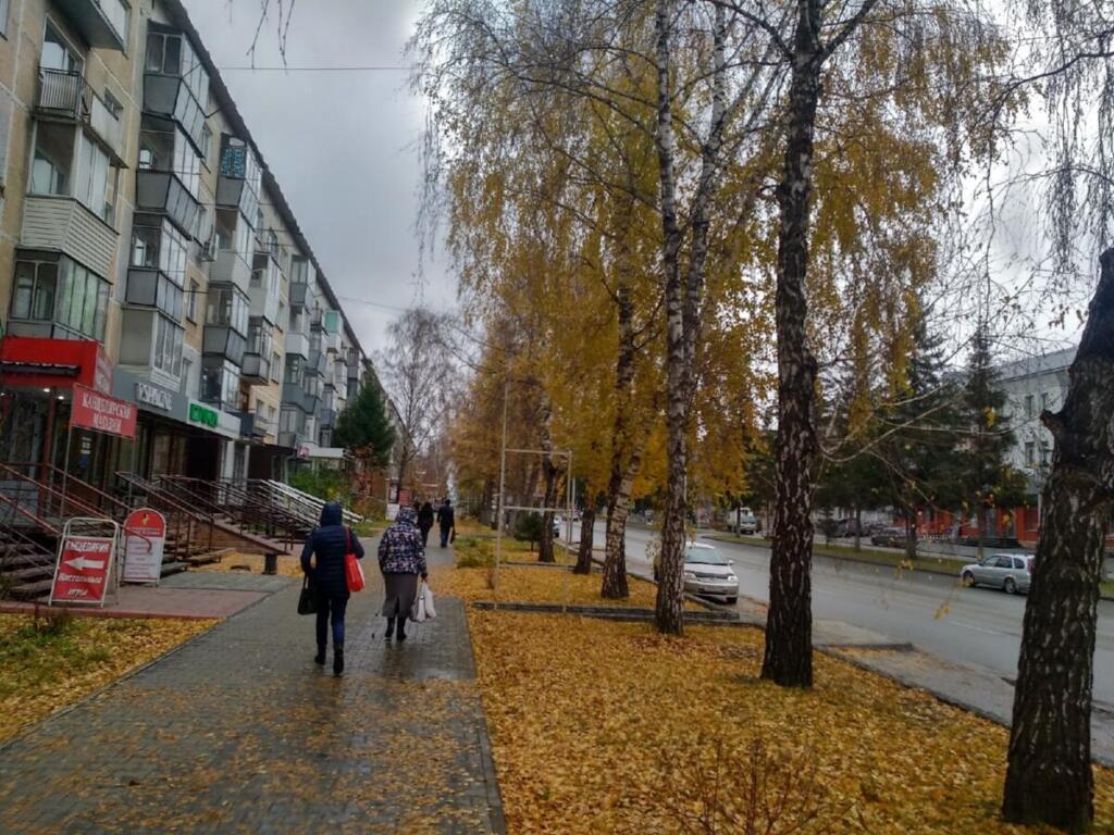 Осень в Бердске