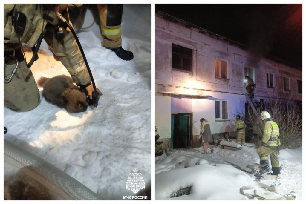 Инцидент произошел в ночь на 14 ноября