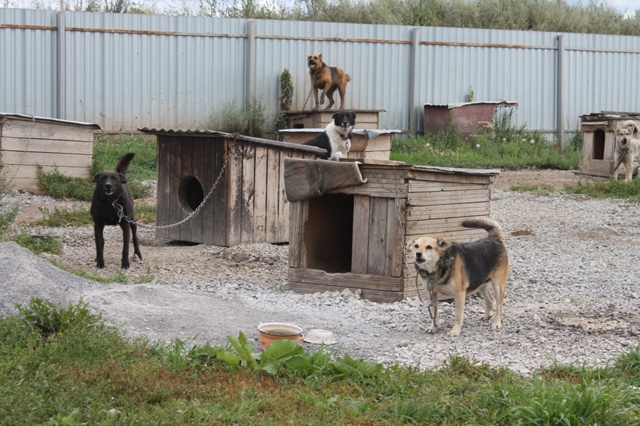 Сундучок доброты стартовал в городе 