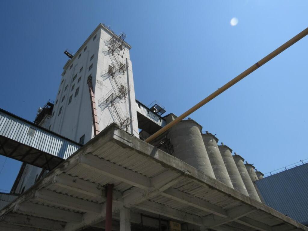 Развитие бердской промышленности - в приоритете